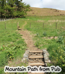 Path behind bunkhouse